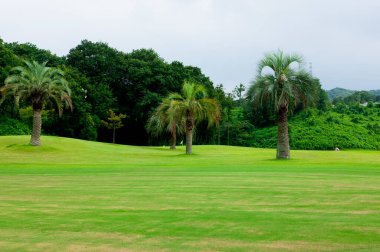 Yeşil çim ile Golf Sahası