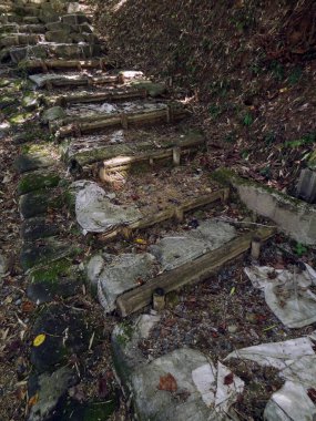 Yıpranmış taş basamaklar Yapraklı orman yamacında süzülüyor