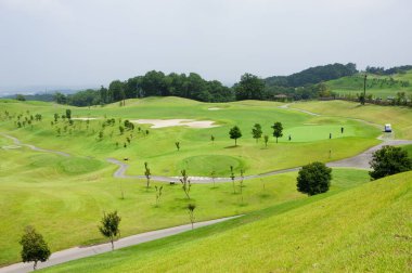 Kırsaldaki golf sahasında. Yeşil çimenlerin inanılmaz rengi. 