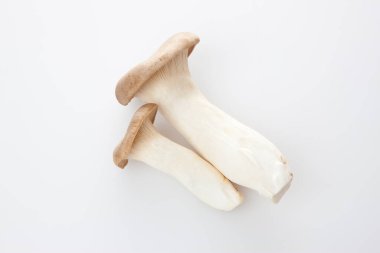 Beyaz arka planda taze shiitake mantarları, kapatın.