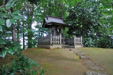 Parkın güzel manzarası