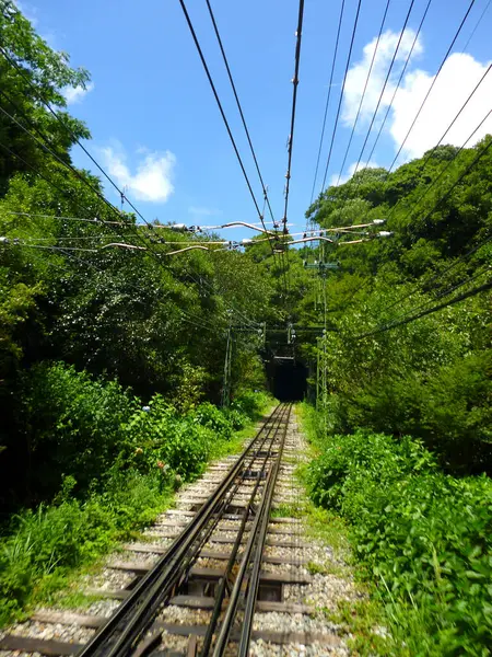 Japon treninin demiryolu hattı doğada.