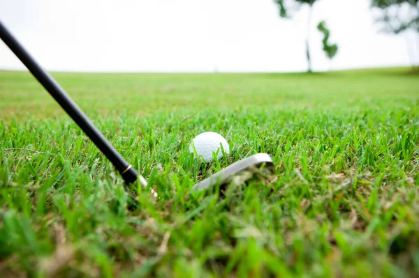 Palla Golf Con Una Mazza Erba Verde — Foto Stock