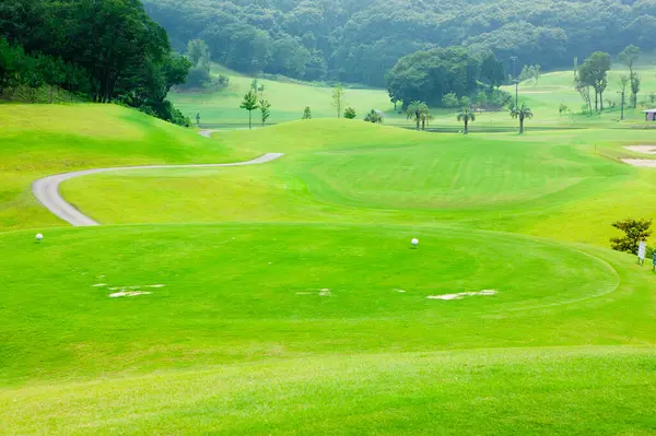 Yeşil çim ile Golf Sahası
