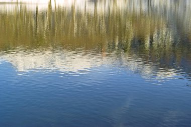 Parktaki güzel sonbahar manzarası 