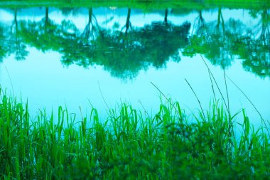 Parktaki gölün güzel manzarası