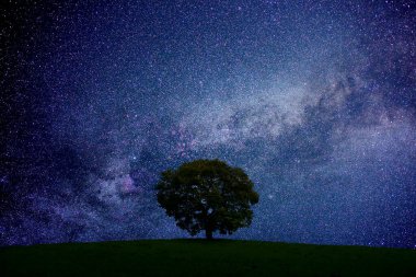 Yıldızlı güzel gece gökyüzü