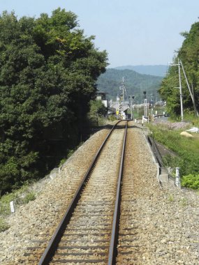 Tarlada yeşil ağaçlı demiryolu rayları