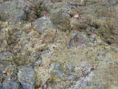 Küçük çatlaklar ve yamalar içeren pürüzlü kaya yüzeyi