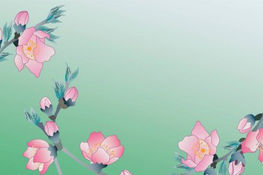 güzel pembe çiçekler ve yeşil arka planda yapraklar              