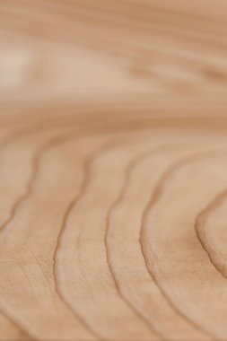 Tahta doku, doğal ahşap zemin 