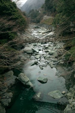 Ormandaki dağlı nehir