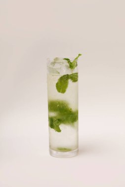 Nane yaprakları ve buz ile Mojito kokteyl