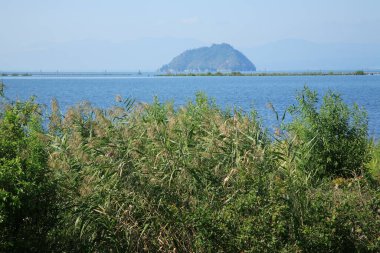 Deniz manzaralı bir ada.  