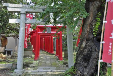 Geleneksel Japon Japon Japon Kapısı Tapınağı