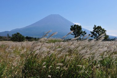Japonya 'daki Fuji dağı, mavi gökyüzü arka planı