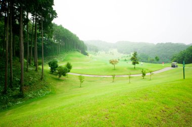 Ağaçlı Yeşil Alan