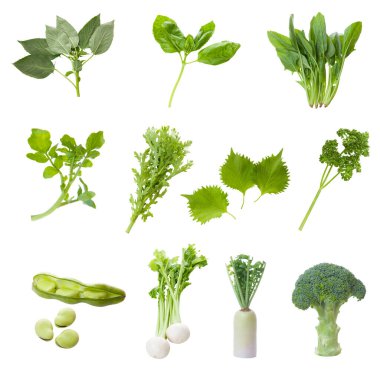 Beyaz arka planda taze bitkiler ve baharatlar var.