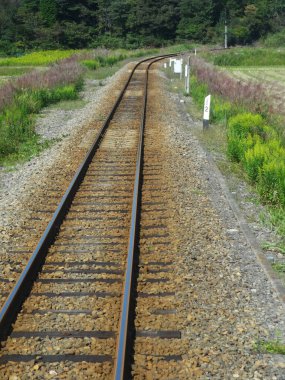 Ormanda tren rayları