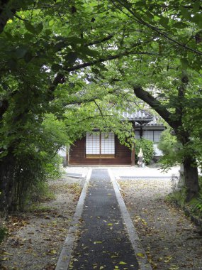 Güzel Japon tapınağı manzarası, Budizm konsepti