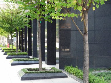 Şehrin modern binasının yakınında büyüyen yeşil ağaçlar. 