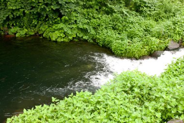 Doğanın güzel manzarası