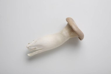 Gri arkaplanda izole edilmiş beyaz mantarlar