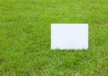 Çimenler üzerine beyaz boş kağıt