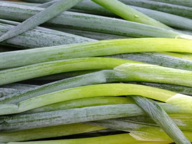 Arka plan olarak taze taze soğan, yakın plan 