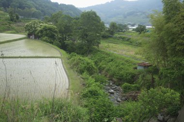Dağlardaki pirinç terasları. 