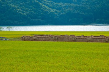 Arka planda dağ ve göl olan güzel bir manzara