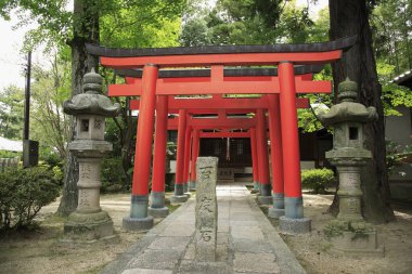 Asya Tapınağı Mimari Detaylı Görünümü