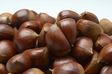 Arka planda bir sürü olgun kestane, kapatın