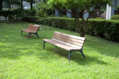 Parktaki yeşil çimlerdeki banklar