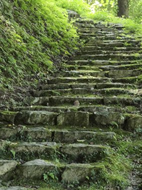 Parktaki eski merdivenler.