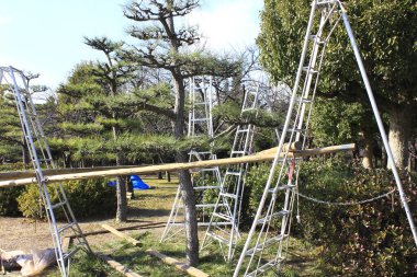 Parkta salıncaklar ve tahterevalliler dahil oyun ekipmanları