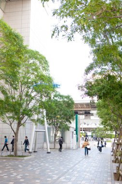 Tokyo 'da insanlar parkta yürüyor.