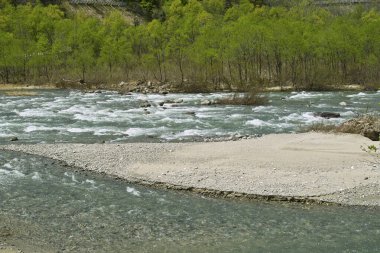 Dağ nehri ile güzel doğa manzarası