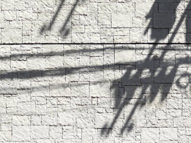 Beton duvardaki ağacın gölgesi