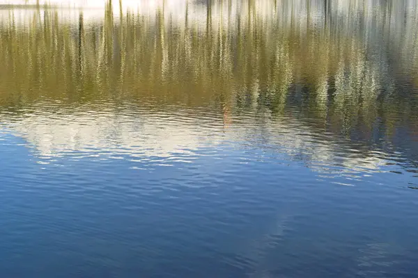 Parktaki güzel sonbahar manzarası 