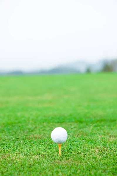Piłka Golfowa Zielonej Trawie Pole Golfowe — Zdjęcie stockowe