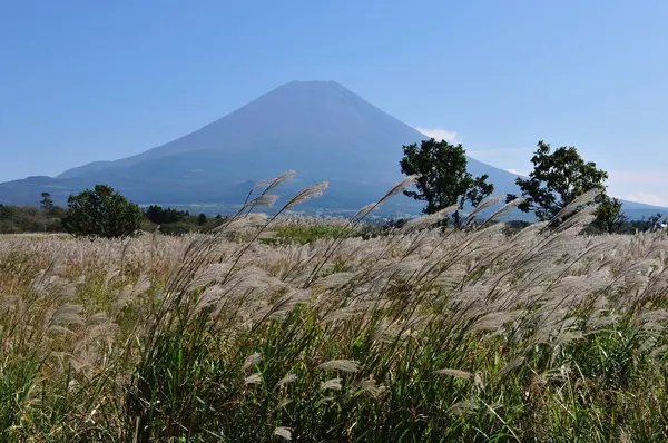 日本の富士山 青空の背景 — ストック写真