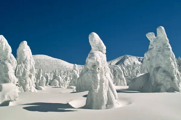 Прекрасный Вид Снежные Зимние Пейзажи Заснеженные Деревья Вершине Горы — стоковое фото