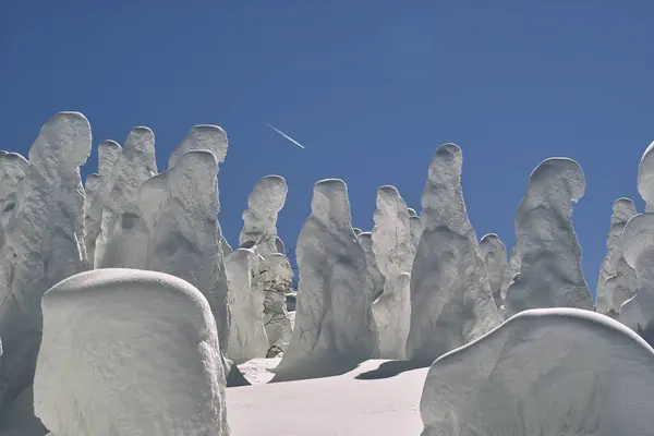 Schöne Aussicht Auf Verschneite Winterlandschaft Schneebedeckte Bäume Auf Dem Gipfel — Stockfoto