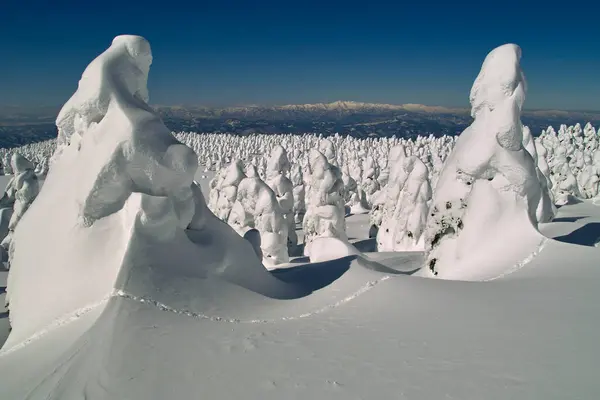 Прекрасный Вид Снежные Зимние Пейзажи Заснеженные Деревья Вершине Горы — стоковое фото