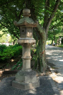 Asya Tapınağı Mimari Detaylı Görünümü