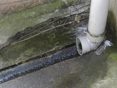 Kirli su, beyaz borudan yosunlu beton yüzeyine sızıyor.