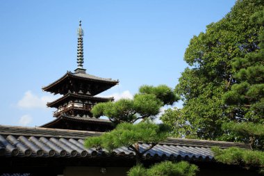 Tapınağın manzarası, Japonya 'nın güzel mimarisi.