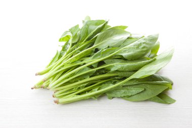 Beyaz bir arka plan üzerinde ıspanak yaprakları