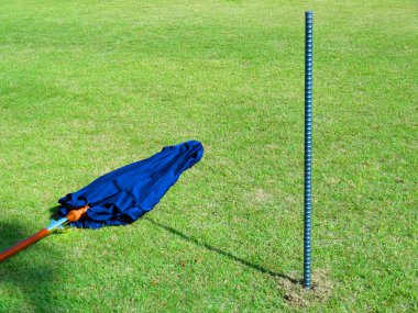 Parktaki yeşil çimlerin üzerinde kapalı bir şemsiye